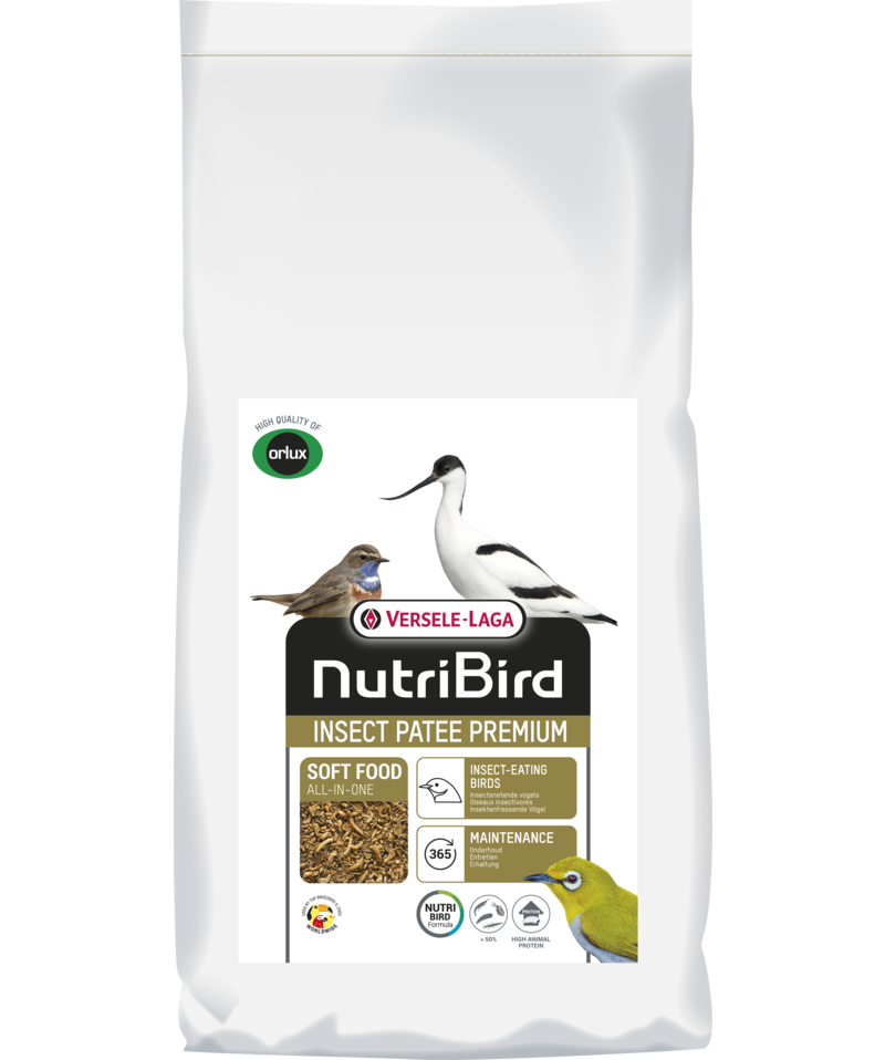 NB Insect Patee 10Kg