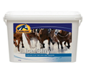 [5425016900086] Ice Clay 10kg