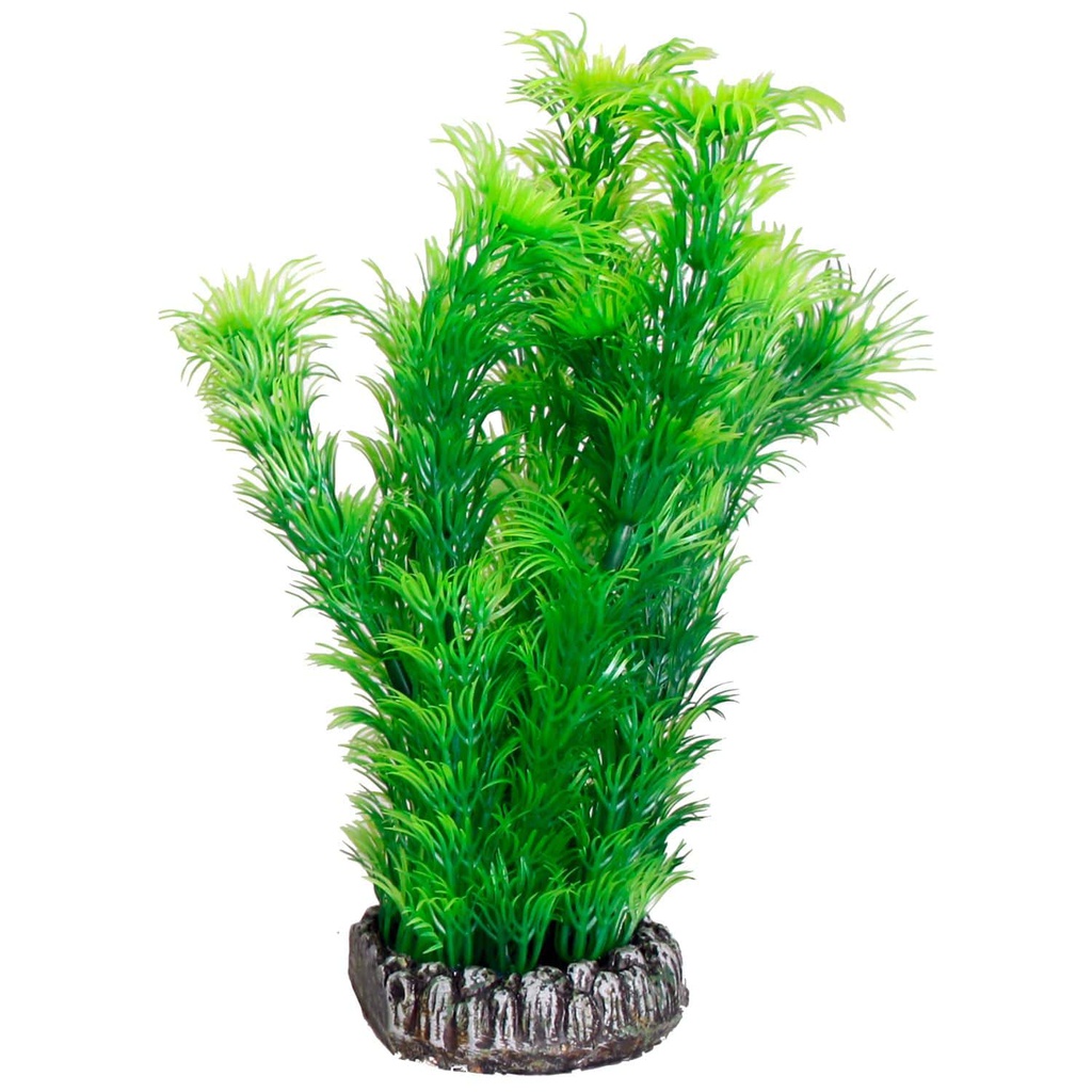 Aq. Plant Plastic Srilanka 3S