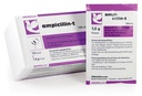 [0502] Ampicillin 12 Sachet