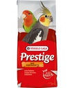 [421133] Big Parakeet Standard 22Kg