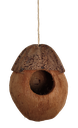 [000000002312] Coconut Bird Toy