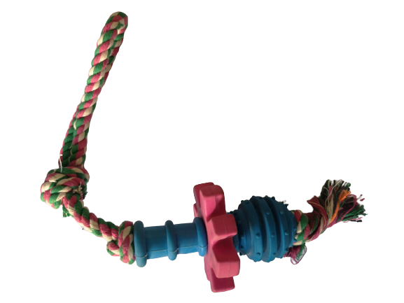 Chewing toy with cotton rope length 40 cm Blue