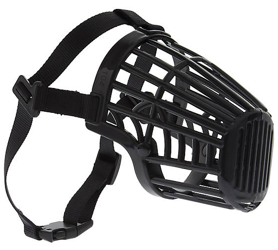 Dog Muzzle No3