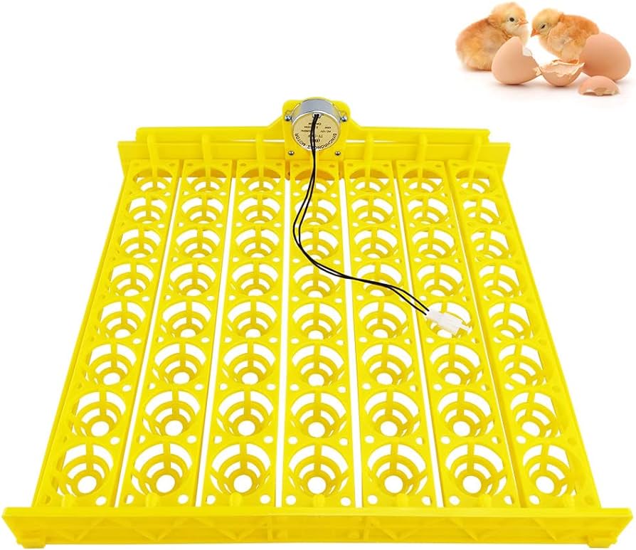 Egg Tray