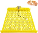 [861129] Egg Tray