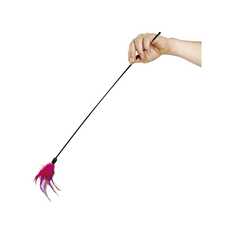 Featherstick Display