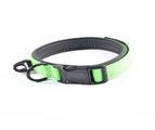 Pet Collar S