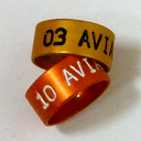 [AvianX040] Gold-X