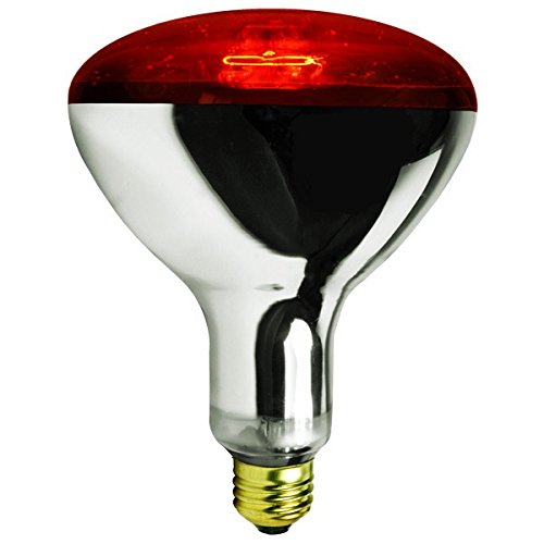 Heating Lamp For Chicken