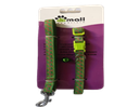 [8028] Leash + Collar (plug) LC-10mm*48+12 Green