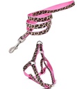 [2149] Leopard Colorfull Leash + Harness Lh-15Mm*48+16/24