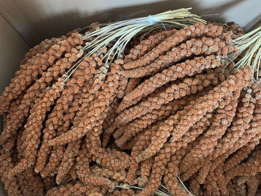 Millet Spray Red French 25Kg