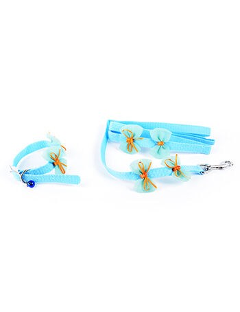 Pp Leash + Collar (Buckle) Lc-15Mm*48+16