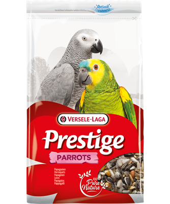 Parrot 1 kg