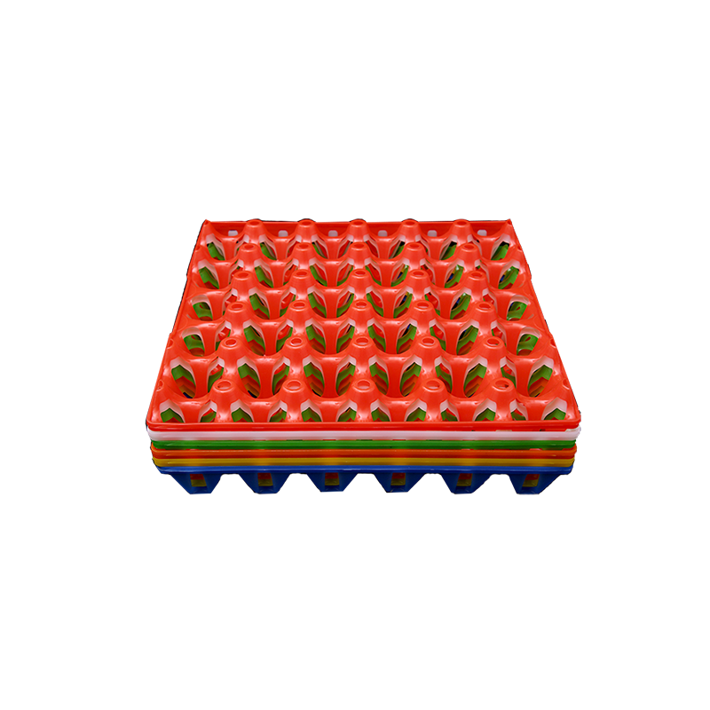 Plastic Egg Tray Green