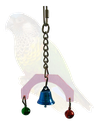 [000000001004] Rainbow Acrylic Mini Bird Toy