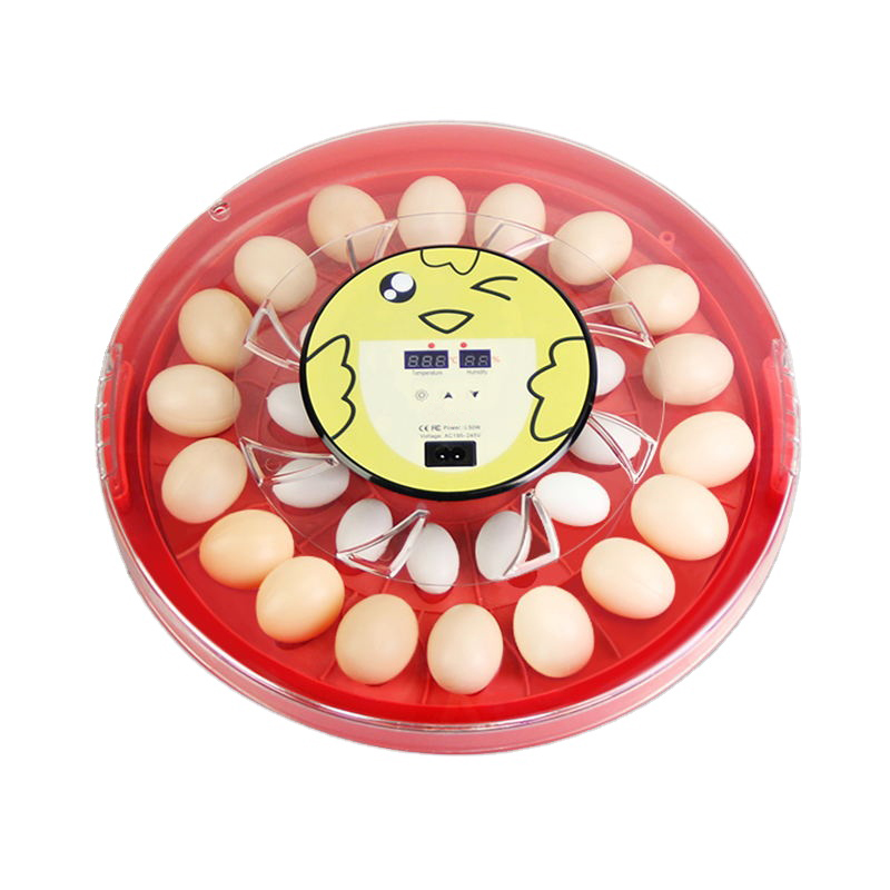 S30 eggs incubator 220V