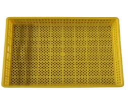 Setting Tray Nanhg