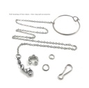[11582020621]  Size No.8 Parrot Foot Ring + Thick Chain L31cm
