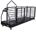 [1158201906064] Treadmill Sh606A Ac W/O Incline 201*52Cm
