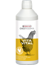 [460450] Vitavital 500 ML
