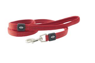 Leash 25Mmx140Cm