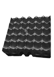 [1158202025116] Cartoon Egg Tray Green
