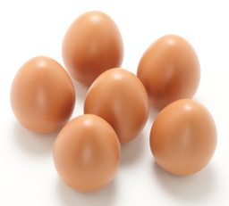 [1033276]  Chalk Egg For Chicken 