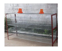 [18860145] Baby Chicken Cage