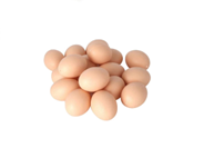 [69000532427] Hollow Plastic Chicken Egg brown 2Pcs