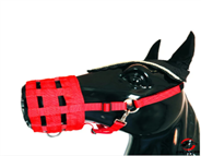 [9051] Horse Mask Small
