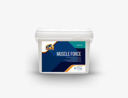 [82192802] Muscle Force 2kg