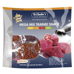 [22236500] Premium Mega Mix Trainee Snack 500Gm