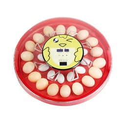 [115820210617] S30 eggs incubator 220V