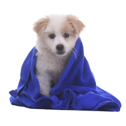 [1040] Three D Towels