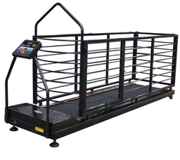 [1158201906061] Dog Treadmill with incline 201*52cm