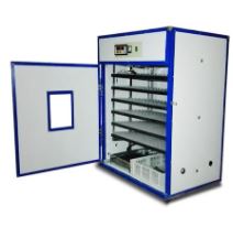 1056Ii Eggs Incubator With Setting Tray Chicken Egg Tray