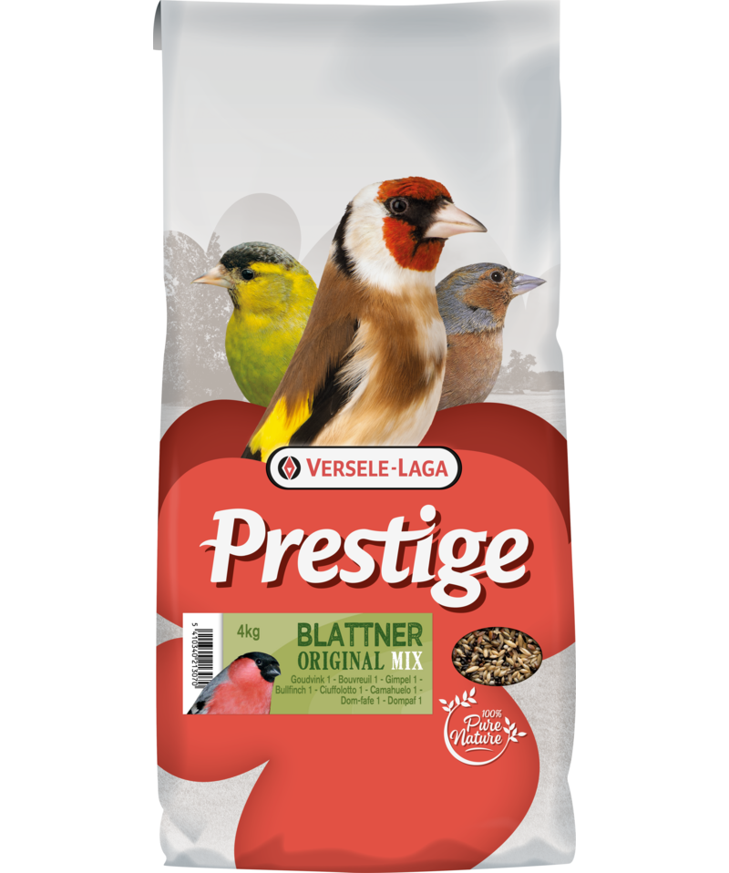 Blattner Bullfinch 4kg
