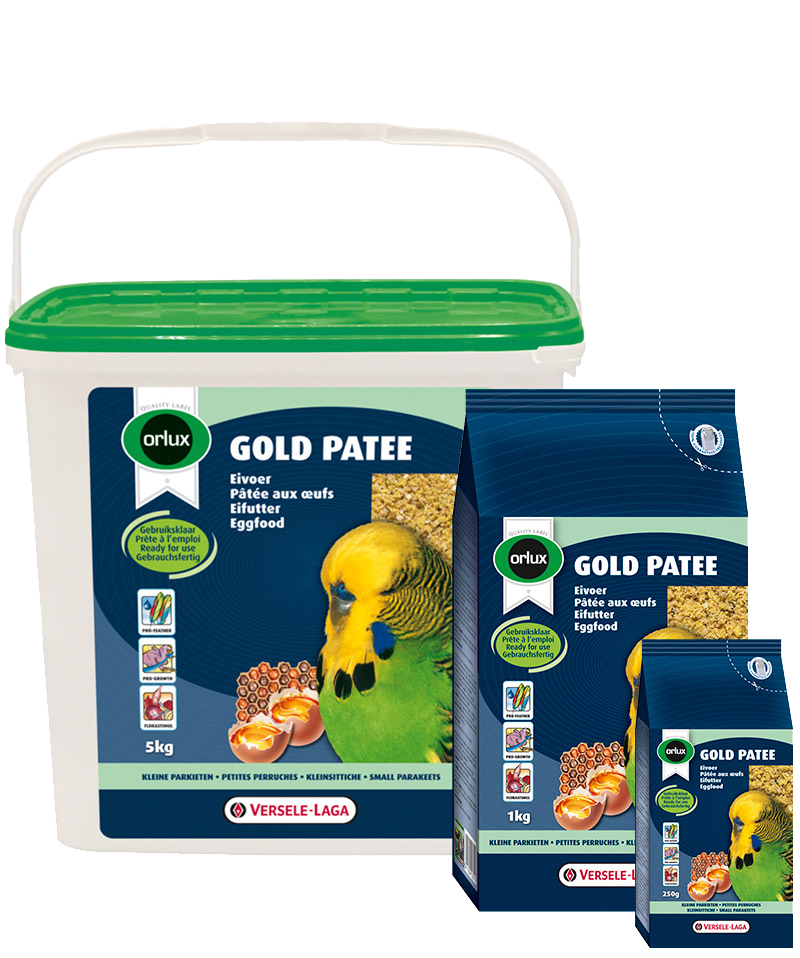 Gold Patee Budgies & Small Parakeets 5 KG