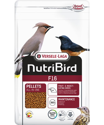 3 Nutribird F16 800gm + 1 Free