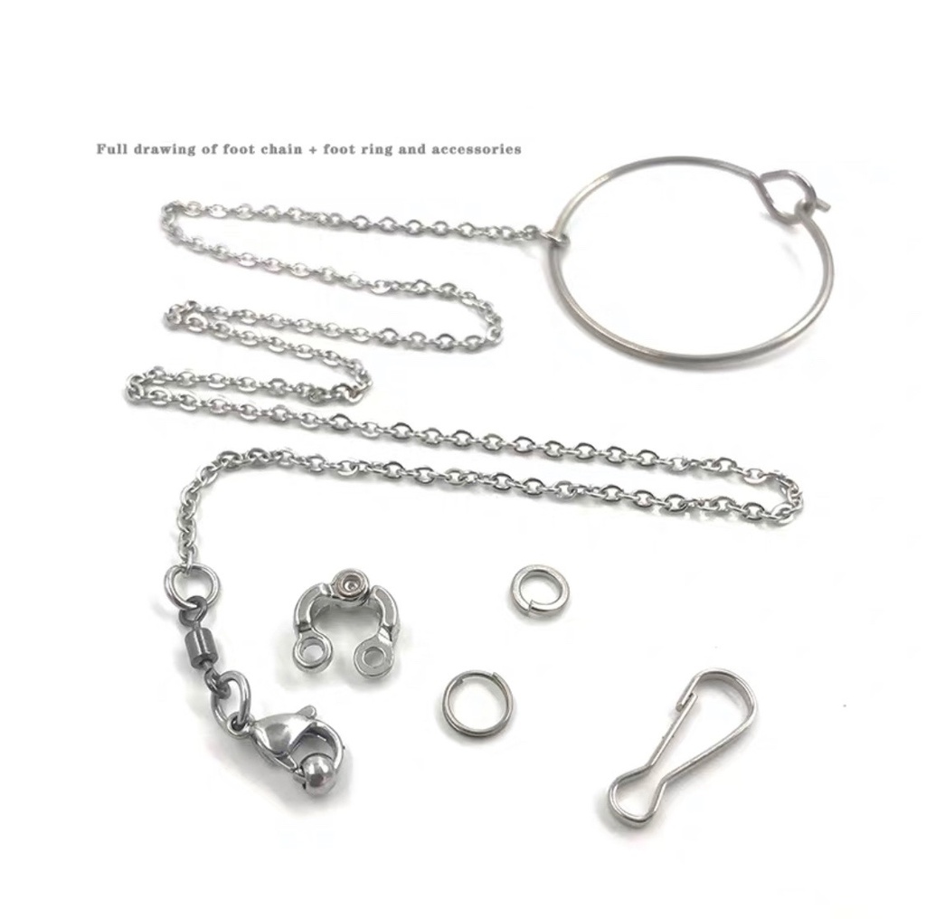 Size No.7 for Macaws + Thick Chain L31cm
