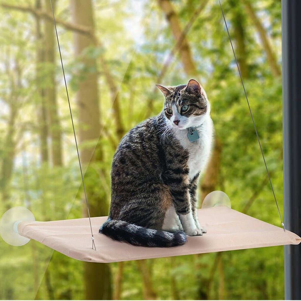 Cat Window Bed