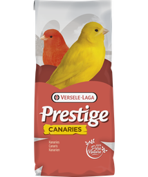 [421040] Canary 1 Kg