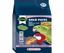 [424027] Gold Patee Big Parakeet & Parrot 