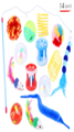 [20210508214] cat wand toy with 14 pcs